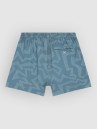Iriedaily Crazy Fresh 0 Boardshorts
