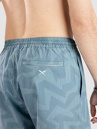 Iriedaily Crazy Fresh 0 Boardshorts