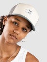 Iriedaily Daily Flag Mesh Cap