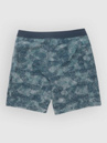 Salty Crew Flagship Boardshorts