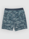 Salty Crew Flagship Boardshorts