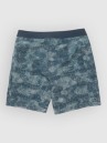 Salty Crew Flagship Boardshorts