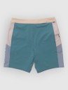 Salty Crew Flaship Boardshorts