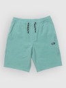 Salty Crew Drifter Elastic Hybrd Kids Shorts
