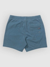 Salty Crew Seadog Volley Boardshorts