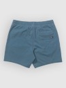 Salty Crew Seadog Volley Boardshorts