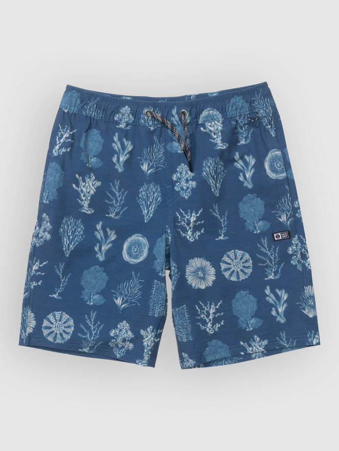 Salty Crew Crew Volley Kids Boardshorts