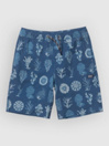Salty Crew Crew Volley Kids Boardshorts