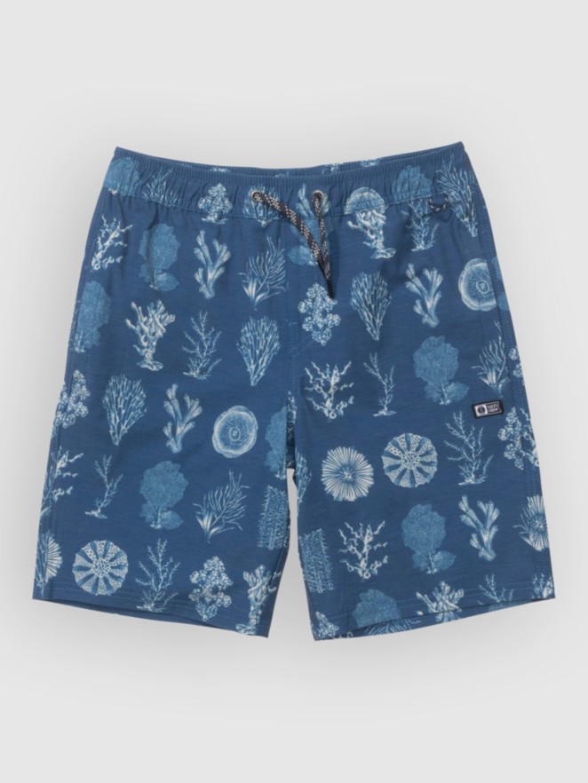 Salty Crew Crew Volley Kids Boardshorts