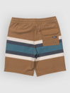 Salty Crew Crew Stripe Volley Kids Boardshorts