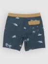 Salty Crew Crew Boardshorts