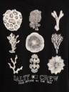Salty Crew Coral Head T-Shirt