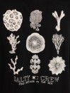 Salty Crew Coral Head T-Shirt