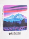 Columbia Csc Heavyweight Graphic T-Shirt