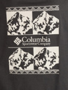 Columbia CSC Heavyweight Iconic T-Shirt