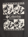 Columbia CSC Heavyweight Iconic T-Shirt