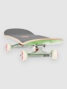 Tricks Tokyo Roar 7.5″x29.5″ MIDI Complete