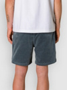 Katin USA Cord Local Shorts