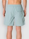 Katin USA Poolside Volley Boardshorts