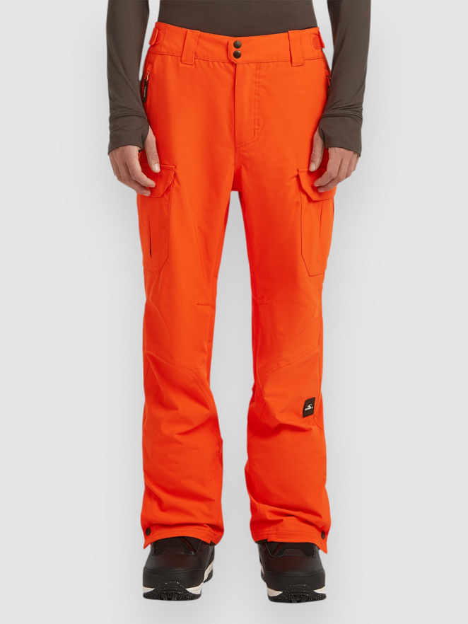 O'Neill Fwc'Peak Cargo Pants