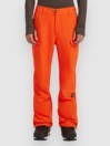 O'Neill Fwc'Peak Cargo Pantalon