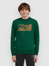 O'Neill Essentials Crew Kids Sweater