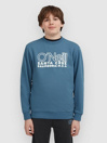O'Neill Essentials Crew Kids Sweater