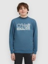 O'Neill Essentials Crew Kids Sweater