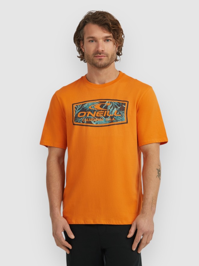 O'Neill Graphic T-Shirt
