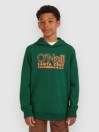 O'Neill Essentials Kids Hoodie