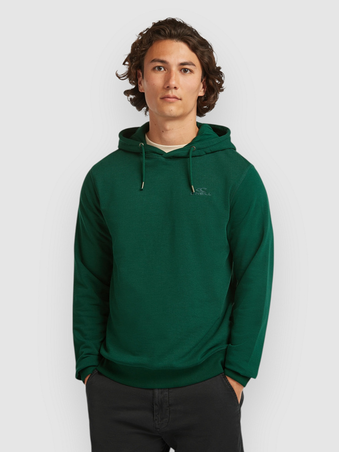 O'Neill Small Logo Hoodie