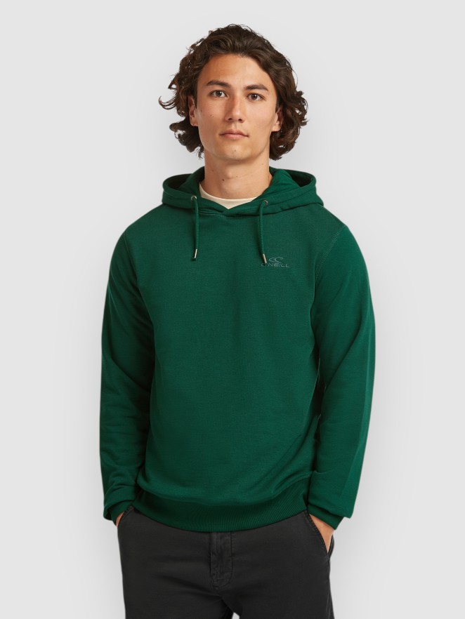 O'Neill Small Logo Hoodie