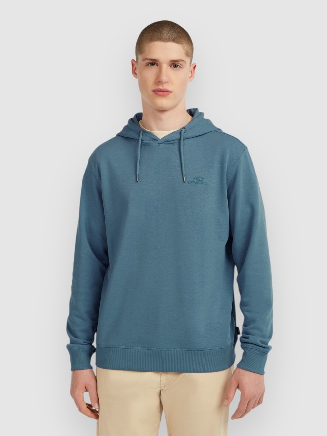 O'Neill Small Logo Hoodie