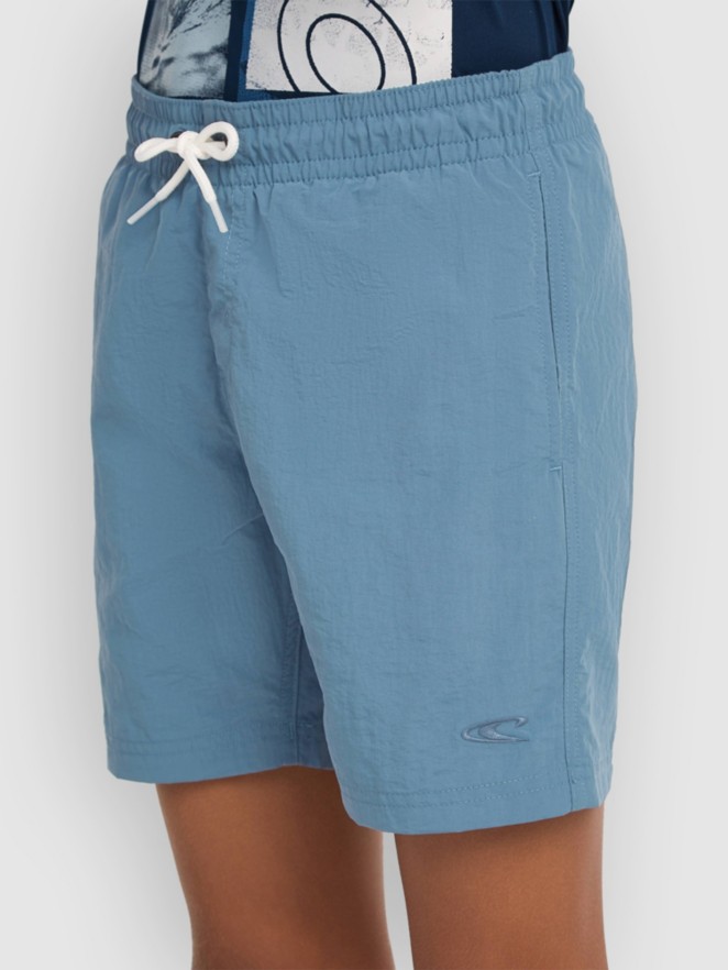 O'Neill Vert Kids Boardshorts