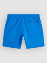 O'Neill Vert Kids Boardshorts