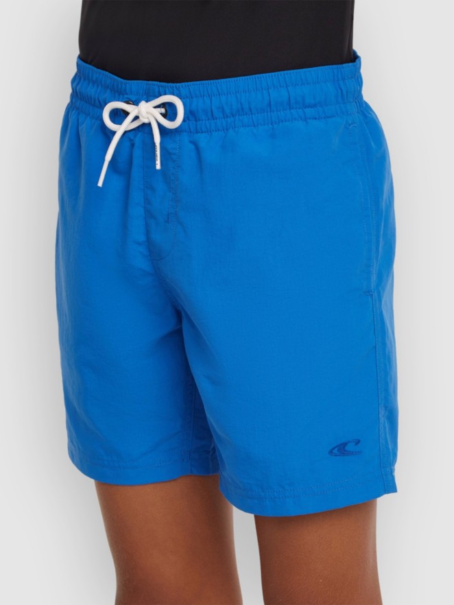 O'Neill Vert Kids Boardshorts