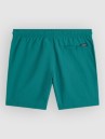 O'Neill Vert Kids Boardshorts