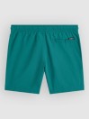 O'Neill Vert Kids Boardshorts