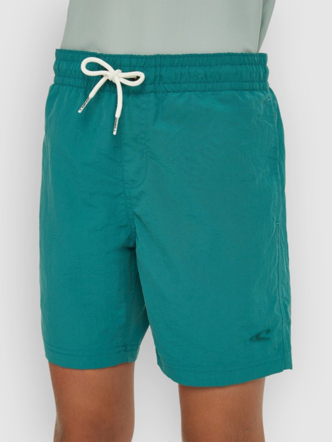 O'Neill Vert Kids Boardshorts