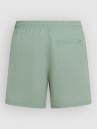 O'Neill Vert 16'' Boardshorts