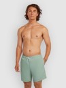 O'Neill Vert 16'' Boardshorts