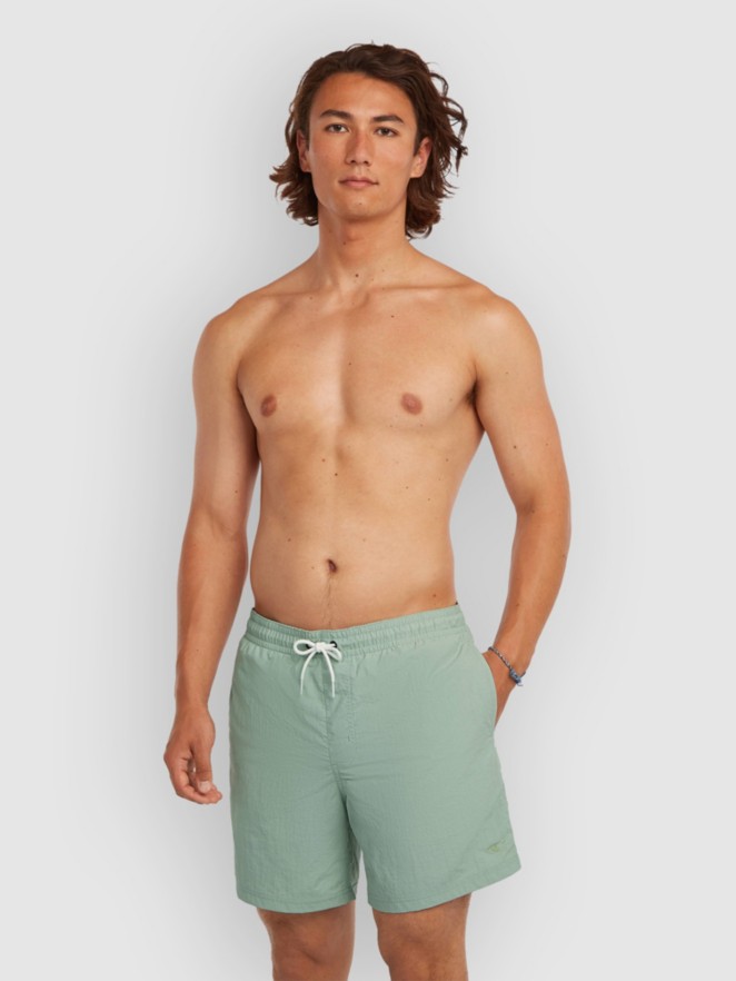 O'Neill Vert 16'' Boardshorts