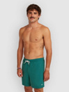 O'Neill Vert 16'' Boardshorts