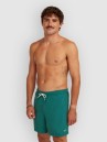O'Neill Vert 16'' Boardshorts