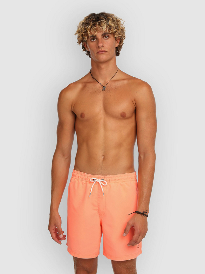 O'Neill Vert 16'' Boardshorts