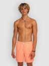 O'Neill Vert 16'' Boardshorts