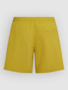 O'Neill Vert 16'' Boardshorts