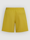 O'Neill Vert 16'' Boardshorts
