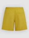 O'Neill Vert 16'' Boardshorts