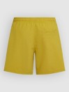 O'Neill Vert 16'' Boardshorts